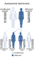 Autosomal dominant inheritance pattern