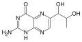 Thumbnail for version as of 11:33, 19 May 2026