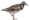 Stub icon