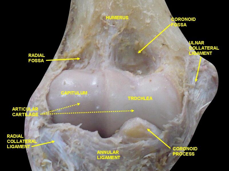 File:Slide2xzxzxz.JPG