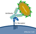 Thumbnail for version as of 01:23, 2 June 2026