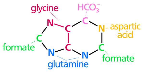 File:Nucleotide synthesis.svg