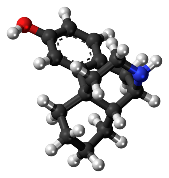 File:3-Hydroxymorphinan molecule ball.png