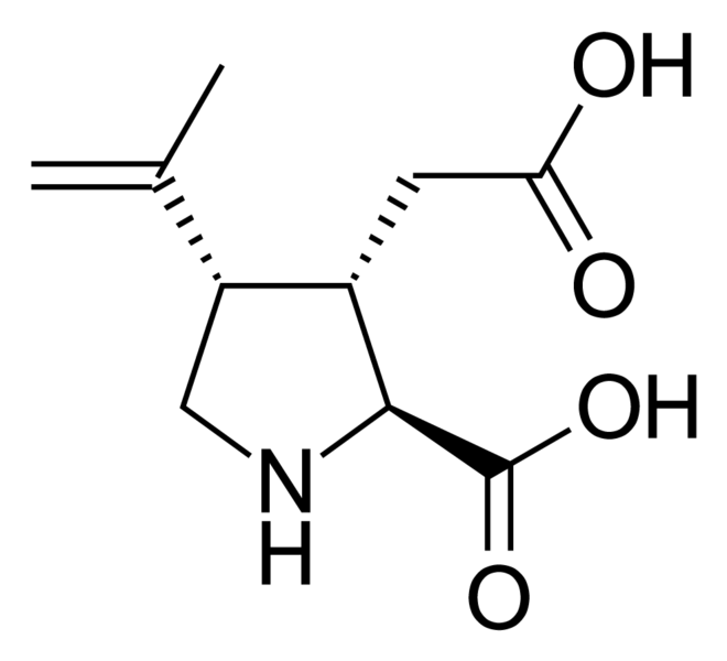 File:Kainic acid.png