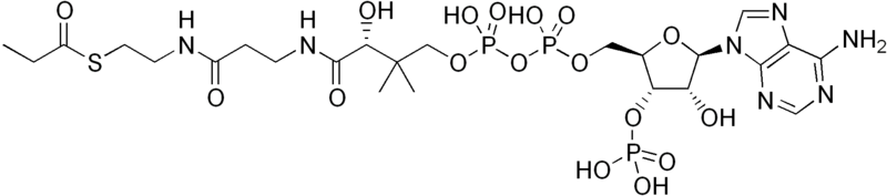 File:Propionyl-Coenzyme A.png