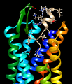Thumbnail for version as of 02:05, 7 June 2026