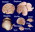 Thumbnail for version as of 19:17, 4 June 2026