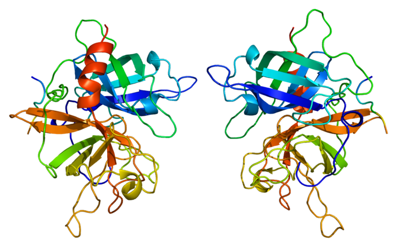 File:Protein PLAT PDB 1a5h.png