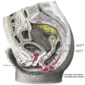 Thumbnail for version as of 02:27, 19 May 2026