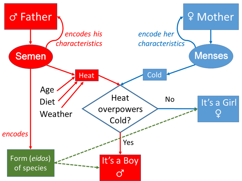 File:Aristotle's model of Inheritance.png