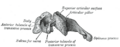 Thumbnail for version as of 17:28, 18 May 2026