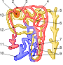 Thumbnail for version as of 22:35, 8 June 2026