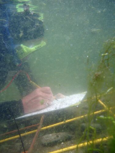 File:Scale drawing underwater.jpg
