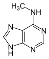 6-methyladenine