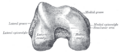 Thumbnail for version as of 17:28, 18 May 2026