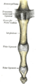 Thumbnail for version as of 17:28, 18 May 2026