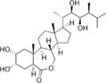 Thumbnail for version as of 02:47, 21 May 2026