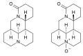 Thumbnail for version as of 02:08, 24 May 2026