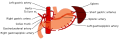 Thumbnail for version as of 00:59, 19 May 2026