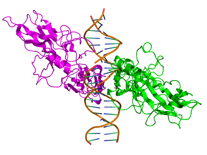 File:2RAM.png