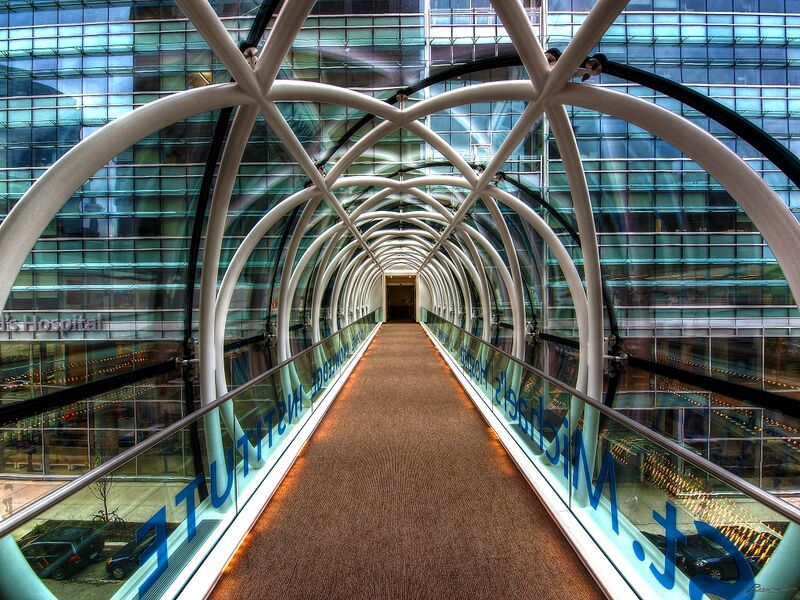 File:Bridging knowledge and healing.jpg