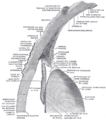 Thumbnail for version as of 17:28, 18 May 2026