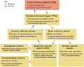 Nervous system diagram