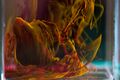 Thumbnail for version as of 22:36, 8 June 2026