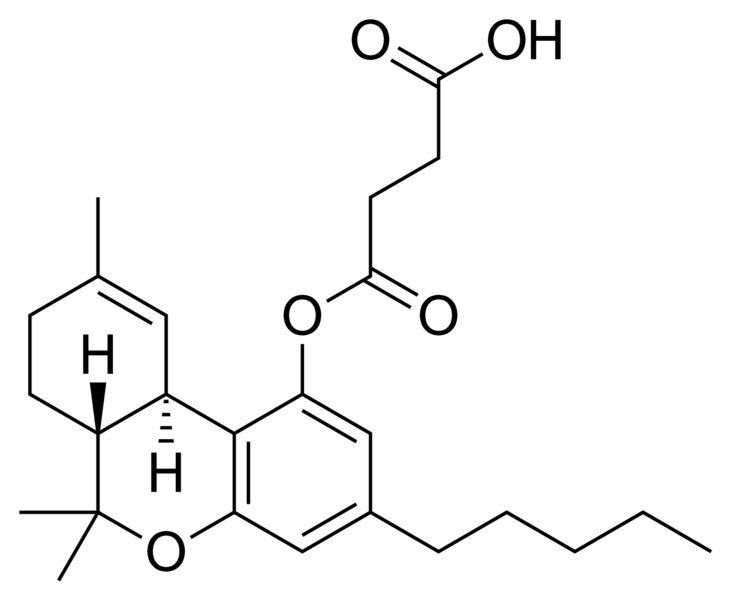 File:THC-hemisuccinate structure.png