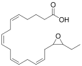 Thumbnail for version as of 02:06, 7 June 2026