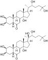 Thumbnail for version as of 02:10, 24 May 2026