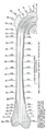 Thumbnail for version as of 17:28, 18 May 2026