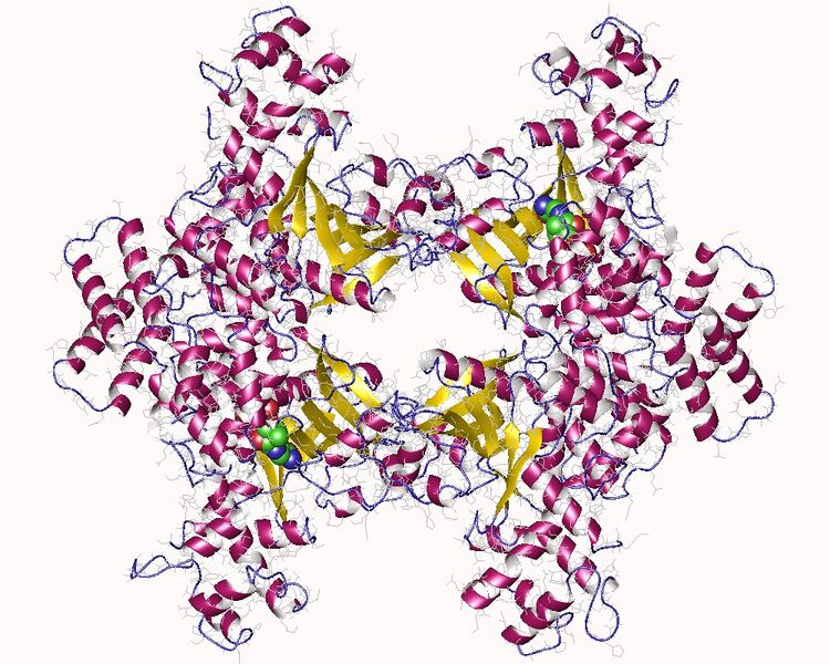 File:4f0x.jpg