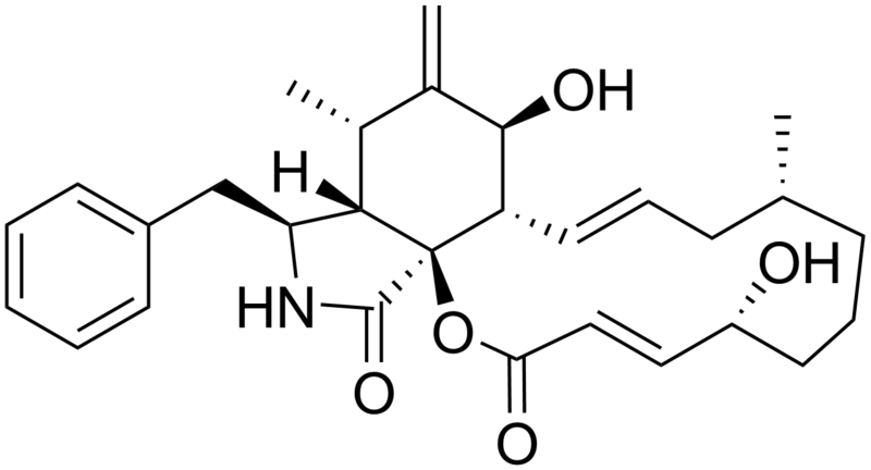 File:Cytochalasin B.png