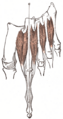 Thumbnail for version as of 17:28, 18 May 2026