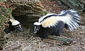 Thumbnail for version as of 22:25, 8 June 2026