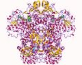 Thumbnail for version as of 02:12, 7 June 2026
