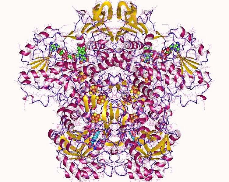 File:1gte.jpg
