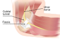 Thumbnail for version as of 01:20, 2 June 2026