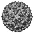 Thumbnail for version as of 13:40, 8 June 2026