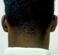 Thumbnail for version as of 19:18, 4 June 2026