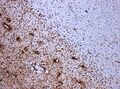 Thumbnail for version as of 12:51, 29 May 2026