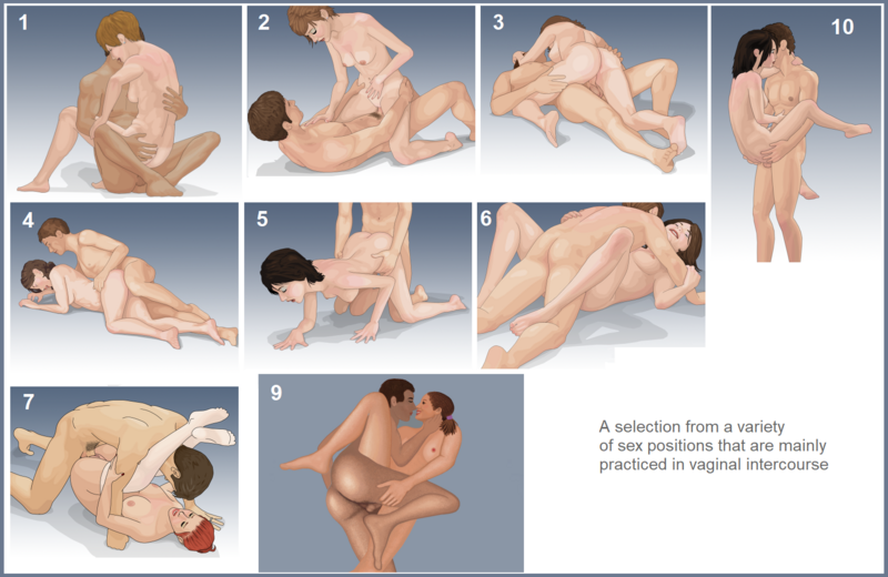 File:10 Vaginal Sex Positions.png