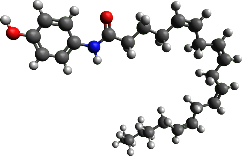 File:AM-404.png