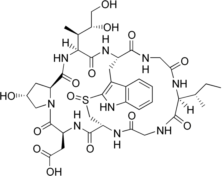 File:Amanin.png