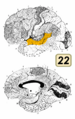 Thumbnail for version as of 19:21, 4 June 2026
