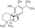 Thumbnail for version as of 11:32, 19 May 2026