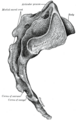 Thumbnail for version as of 17:27, 18 May 2026