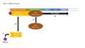 Thumbnail for version as of 22:25, 8 June 2026