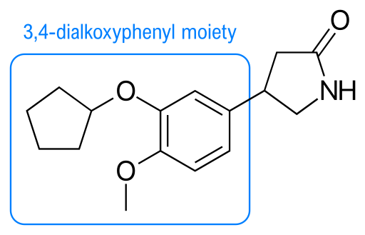 File:Rolipram with 3,4-dialkoxyphenyl moiety highlighted.svg